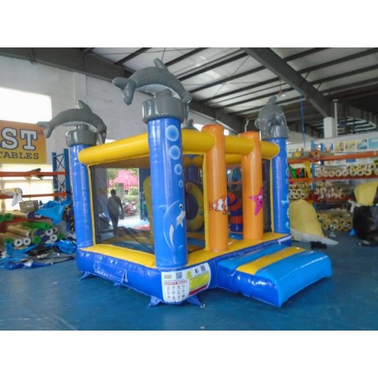 Pirate Bouncy Castle